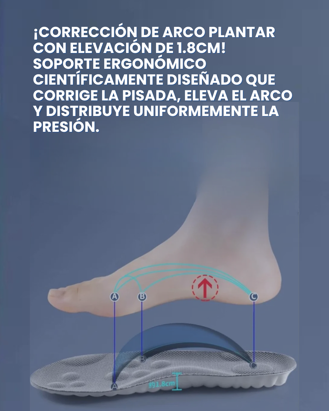 PLANTILLAS COMFORT